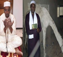 Vidéo: Combat Balla Gaye 2 Modou Lo, le marabout malien Ben Bachir avait vu juste