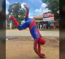 Photos : la chute de Modou Lô raillée par les internautes version spiderman
