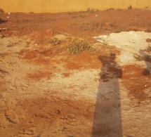 Bonne Affaires: TERRAIN 150 M2 A VENDRE A SEBIKHOTANE EN FACE DU NOUVEAU COLLEGE. 76 573 30 76