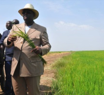 Macky Sall: « Le département de Bounkiling sera bientôt autosuffisant en riz et pourra même vendre aux autres départements