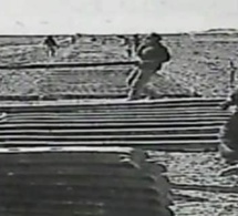 HISTOIRE DU CHEMIN DE FER DIOURBEL-TOUBA (1929-1931) : La réponse à Me Baba DIOP HISTOIRE DU CHEMIN DE FER DIOURBEL-TOUBA (1929-1931) : La réponse à Me Baba DIOP