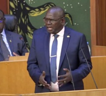 Dissolution de l’Assemblée nationale : « L’idée de Aissata Tall Sall est tout à fait cohérente »