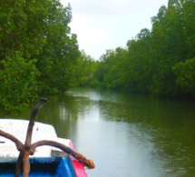 Casamance : Une fille de 10 ans tombe et morte dans un canal