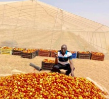 Découvrez comment Aly Ngouille, passe ses vacances, Le ministre expose les récoltes de sa ferme agricole