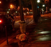 " Las Vegas ", " Hawaï ", " Honolulu " et " Ndèye Safiétou" : Ces "hôtels" au cœur d’une affaire de prostitution, proxénétisme et blanchiment de capitaux