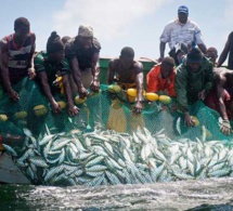 Expulsion des travailleurs sénégalais: les pêcheurs mauritaniens en grève