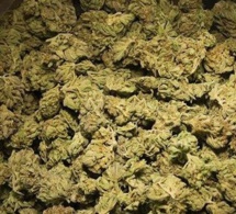 Fatick : Une tonne de drogue et des faux médicaments incinérés le 4 avril