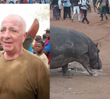 L’hippopotame abattu, par le chasseur François Uart sur ordre, Moustapha Diakhaté étale sa colère