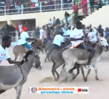 Course d’ânes à Thiès: vivez l’ambiance au « mbamodrome »