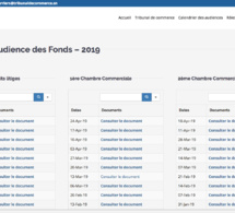 ROLE D'AUDIENCE DES FONDS DE LA CHAMBRE DES PETITS LITIGES 