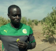 Ferdinand Coly : "Je vais renoncer à ma nationalité sénégalaise, je n’en peux plus"