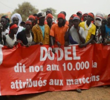 Dodel : La Cour Suprême annule l’affection d’un terrain de 10.000 hectares au groupe Afri Partners
