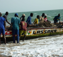 Interdiction de la pêche nocturne des petits pélagiques: Les acteurs magnifient la décision