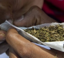 Détention et usage de drogue: Deux élèves en classe de 5 ème arrêtés à Bignona