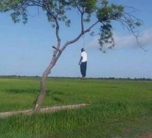 Linguère: un Malien retrouvé pendu à un arbre