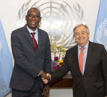 DIPLOMATIE : LE SÉNÉGAL ÉLU PRÉSIDENT DE LA DEUXIÈME COMMISSION DE ‘ASSEMBLÉE GÉNÉRALE DES NATIONS UNIES à NEW YORK