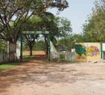 Scandale au Parc Niokolo Koba: le Conservateur et son adjoint limogés et remplacés
