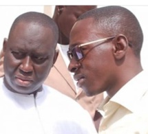 Quand ce proche de Macky Sall traitait Aliou Sall de menteur en direct sur la TFM