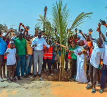 Programme de remplacement des palmiers de la Corniche avec le ministre Abdou K. FOFANA et l’association Ecolibri