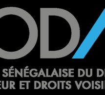 Sodav : Les acteurs de la musique en sit-in devant son siège