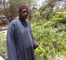 L’Uncefs accompagne la politique nationale de reforestation du gouvernement…