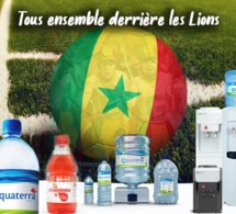 CAN 2019: YATASSAYE PDG DE AQUATERA SOUTIEN LES LIONS DE LA TERANGA