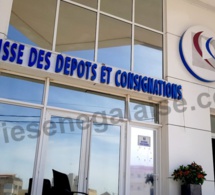 Démission d’Aliou Sall de la CDC: le personnel de la boîte manifeste son désaccord