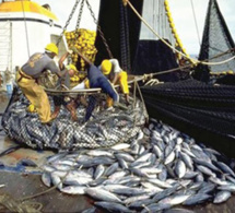 Calendrier républicain : Les travailleurs de la pêche réclament leur journée