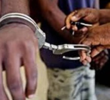 Mbao : 13 Nigérians arrêtés pour mise en circulation de fausses devises
