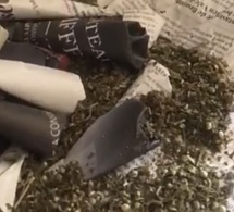UCAD : Saisie de 500 grammes de chanvre indien à « Babylon », quatre étudiants et deux agents du Coud arrêtés