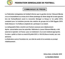 Can 2019- Equipe nationale: Edouard Mendy quitte définitivement la Tanière
