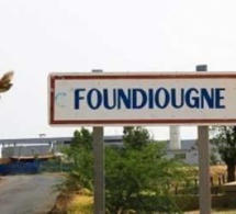 Foundiougne : Le programme Mangrove évalué