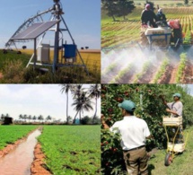 Développement agricole et rural - Réseau des parlementaires: « L’accès à la nourriture présente des inégalités et se nourrir constitue un problème bien différent »