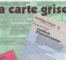 Cartes grises numérisées: Des lenteurs dans la délivrance, seul hic