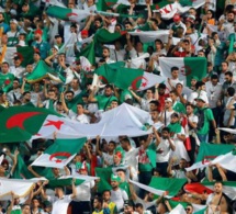 Final CAN 2019 : 28 avions seront mobilisés pour transporter les supporters Algériens au Caire