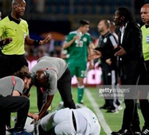 Finale Sénégal vs Algérie : les supporters égyptiens ont choisi leur camp !