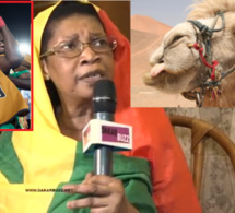 Finale Sénégal Vs Algérie: Selbé Ndom « Kilifa Bima Jox Guilem Bii » Thiow Dina Amm