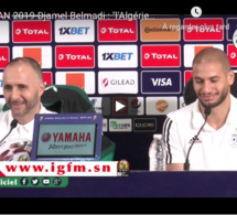 CAN 2019 - Djamel Belmadi : « on peut perdre la finale »