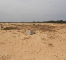 Litige foncier à Mbane : les populations s’opposent à l’octroi de 8000 hectares à un promoteur
