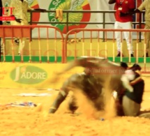 Combat du 13 juillet 2019: Le CNG confirme la victoire de Lac 2 sur Boy Niang 2