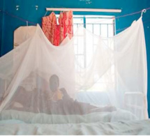 Distribution des moustiquaires à Khar Yalla: Les populations dénoncent un déséquilibre