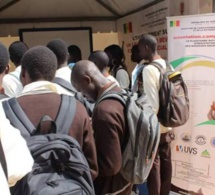 Enseignement supérieur : le Cudopes met sa menace à exécution