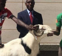 Macky Sall, l’ambassadeur des États-Unis et le mouton de Tabaski