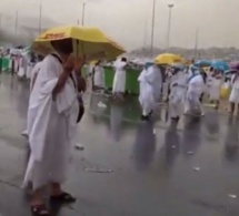 Vidéo – Pèlerinage à la Mecque : Une forte pluie sur Arafat