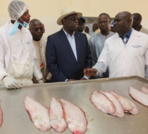 Sommet G7 : Le Président Macky SALL a rappelé les défis liés au secteur de la pêche, en Afrique, et au Sénégal en particulier