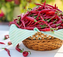 Vivre plus longtemps grâce au feu du piment