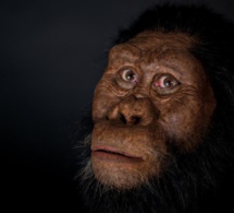 Le plus vieux crâne fossile d’australopithèque a été découvert en Éthiopie