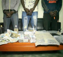 Port de Guinée-Bissau: 1,8 tonne de cocaïne saisie et 8 suspects arrêtés