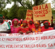 Bandia:Les populations dans la rue pour dire non aux 236 hectares de Layousse