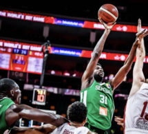 Basket : Éliminés, Les lions indexent leur mauvaise préparation